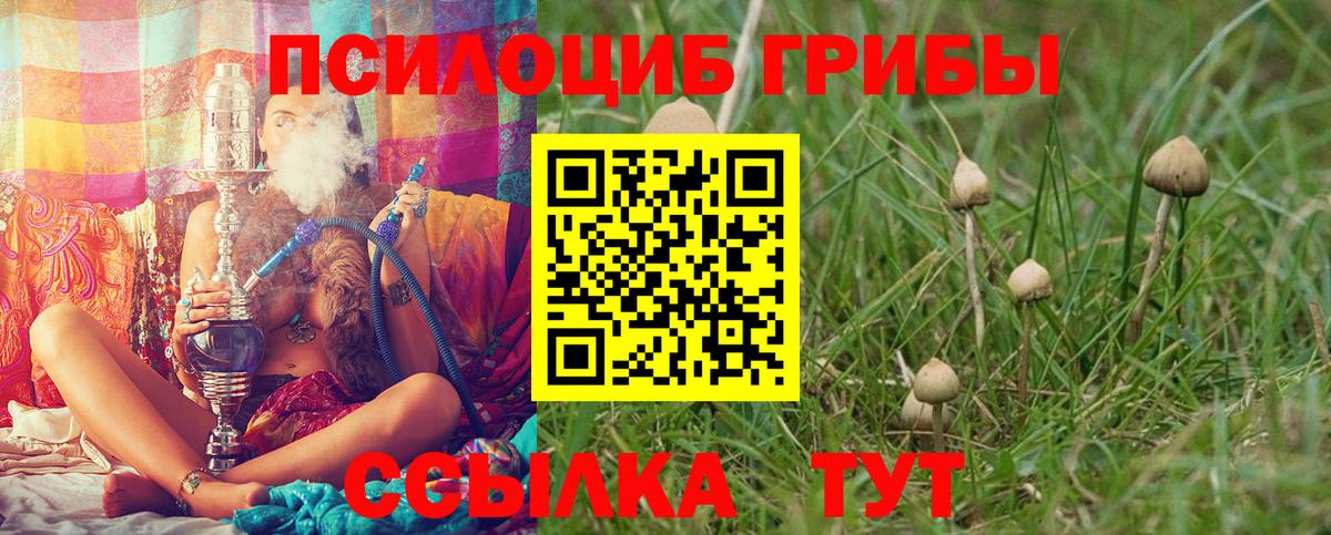 Псилоцибиновые грибы GOLDEN TEACHER  Псилоцибиновые грибы Psilocybe  Нарткала  Вход с VPN 